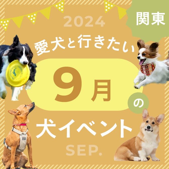 【2024年9月】関東で愛犬と行きたいドッグイベント8選