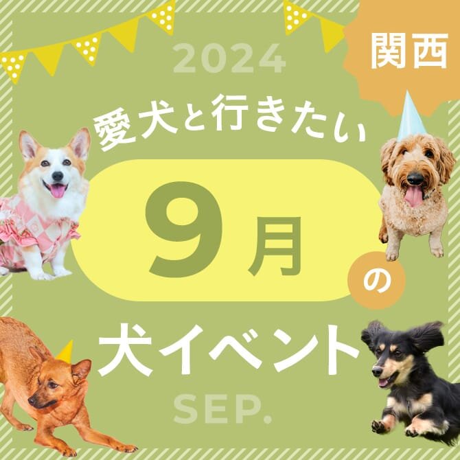 【2024年9月】関西で愛犬と行きたいドッグイベント14選