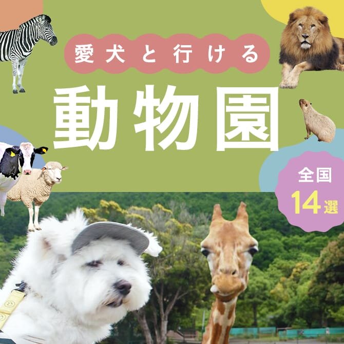 【犬連れOKな動物園】全国の犬と行ける動物園14選