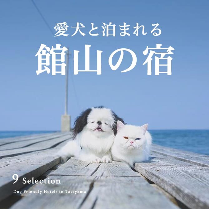 【館山のペットと泊まれる宿】館山で犬と泊まれる宿。人気の南房総から。