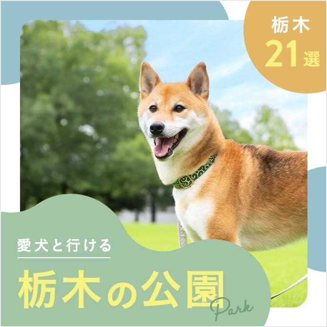 【栃木の犬と行ける公園21選】ドッグランのある公園やおでかけにおすすめな公園