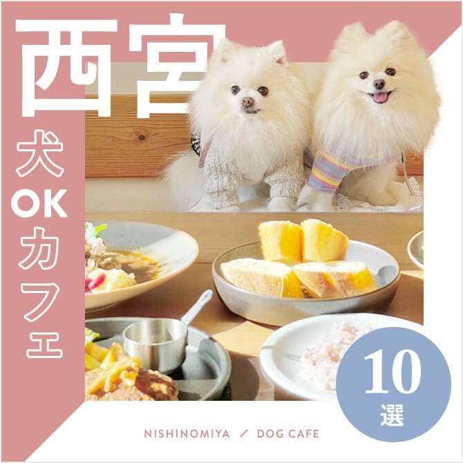 【西宮ドッグカフェ・犬と行けるカフェ10選】ワンコメニューのあるカフェや大型犬同伴OKなカフェも！