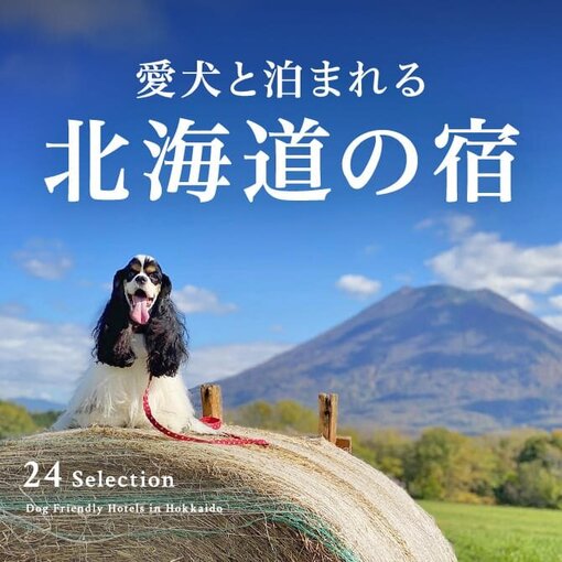 北海道のペットと泊まれる宿ランキングTOP24｜人気宿一覧
