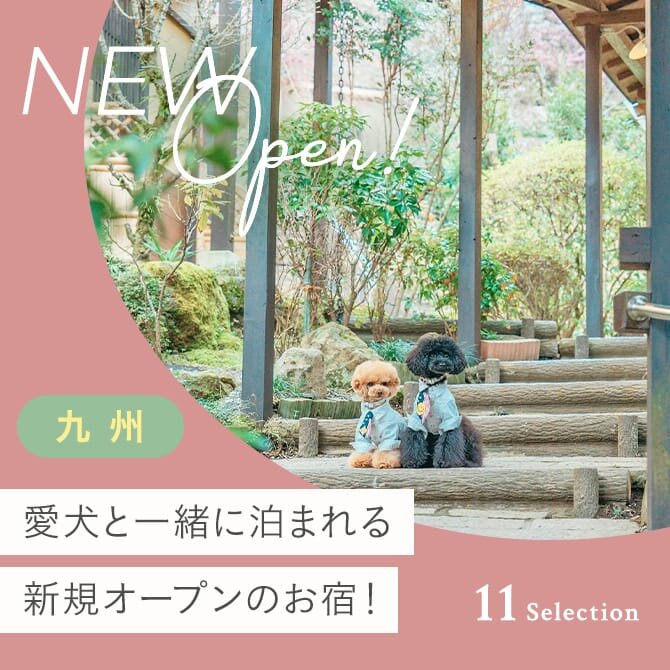 九州のペット・犬と泊まれる新規オープンの宿｜2023-2024年版