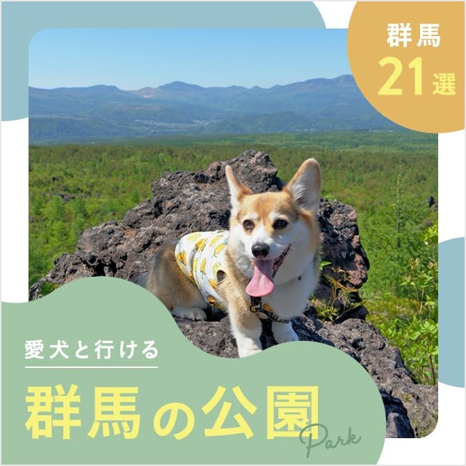 【群馬の犬と行ける公園21選】ドッグランのある公園やおでかけにおすすめな公園