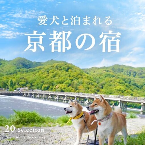 京都のペットと泊まれる宿ランキングTOP20｜人気宿一覧