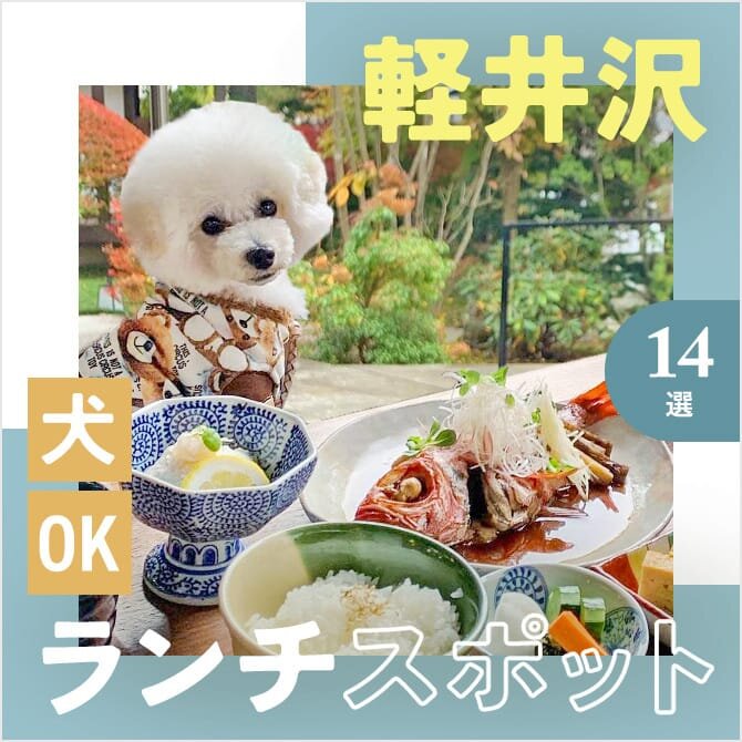 【軽井沢の犬連れランチ・カフェ14選】ペット可・犬連れOK！名物グルメや人気ランチが楽しめるカフェ