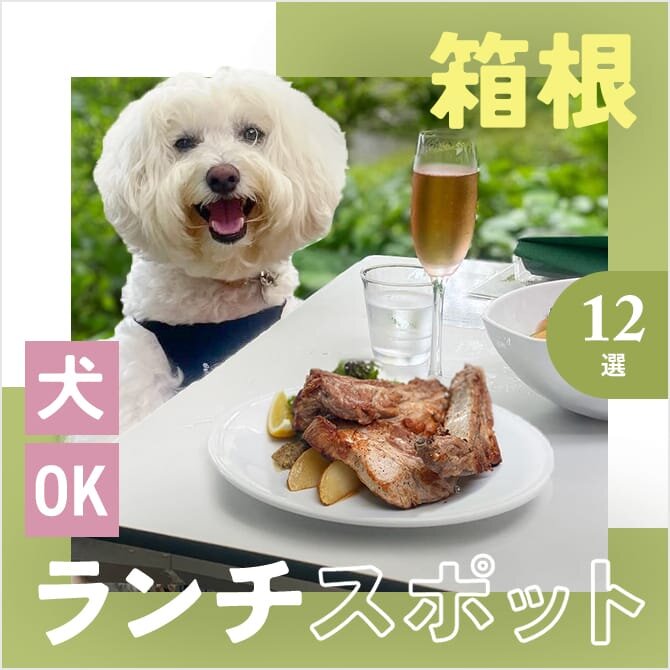 【箱根の犬連れランチ・カフェ12選】ペット可・犬連れOK！名物グルメや人気ランチが楽しめるカフェ