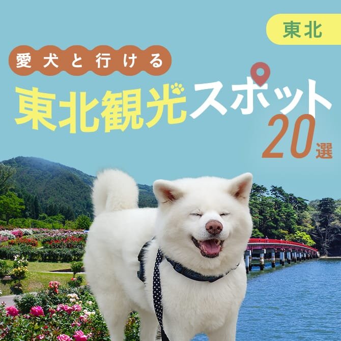 【東北の犬連れおでかけスポット20選】東北の犬連れOK・ペット同伴可の観光スポット紹介