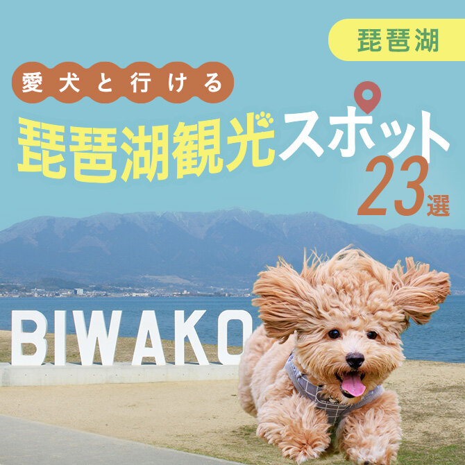 【琵琶湖の犬連れ観光スポット23選】琵琶湖の犬連れOKランチから観光・おでかけスポットまで！