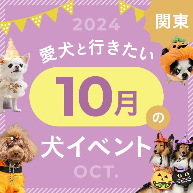 【2024年10月】関東で愛犬と行きたいドッグイベント18選