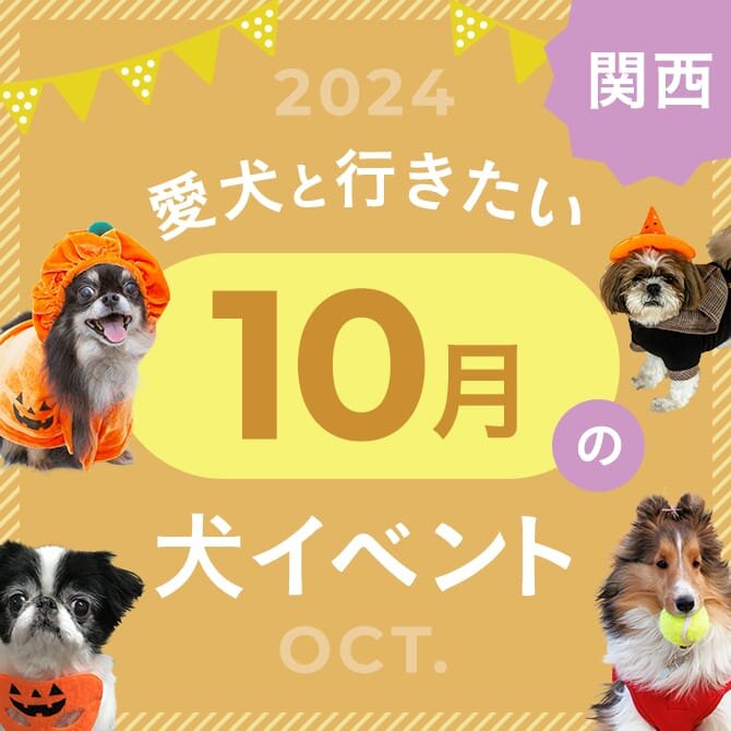 【2024年10月】関西で愛犬と行きたいドッグイベント15選