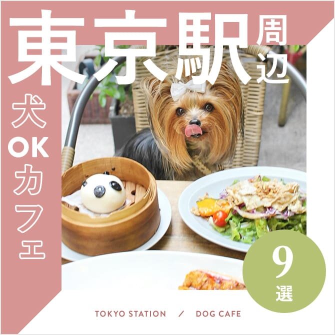 【東京駅周辺のドッグカフェ・犬と行けるカフェ9選】大型犬OKやワンコメニューのあるカフェ