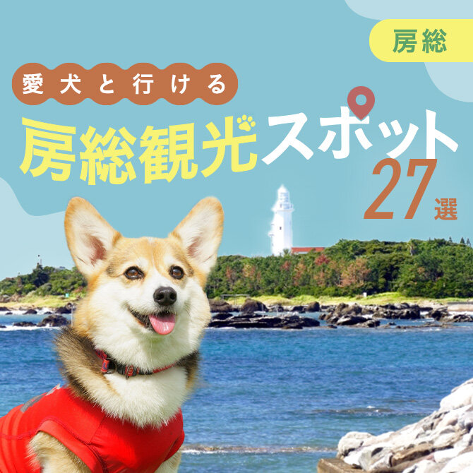 【房総の犬といけるお出かけスポット27選】房総の犬連れOKランチからペット同伴可の観光スポットまで！