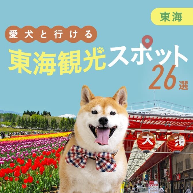 【東海の犬連れおでかけスポット26選】東海の犬連れOKランチから観光・おでかけスポットまで！