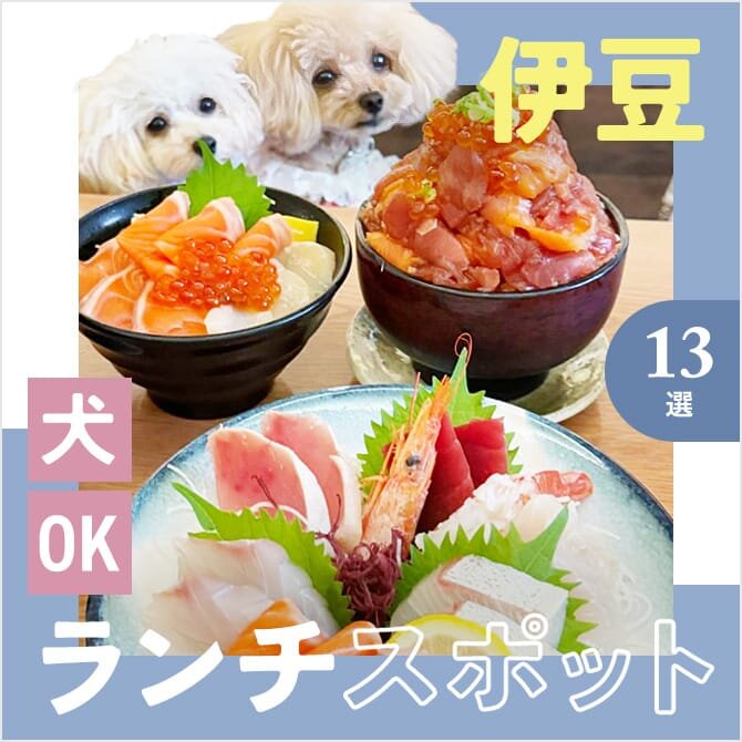 【伊豆の犬連れランチ・カフェ13選】ペット可・犬連れOK！名物グルメや人気ランチが楽しめるカフェ