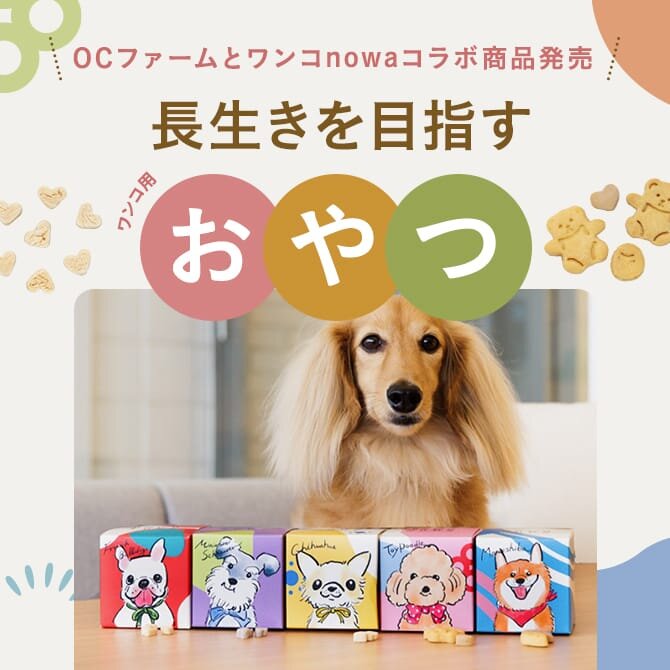 国産・無添加・原料産地明記にこだわり 健康で長生きを目指す犬用おやつ「OCファーム」