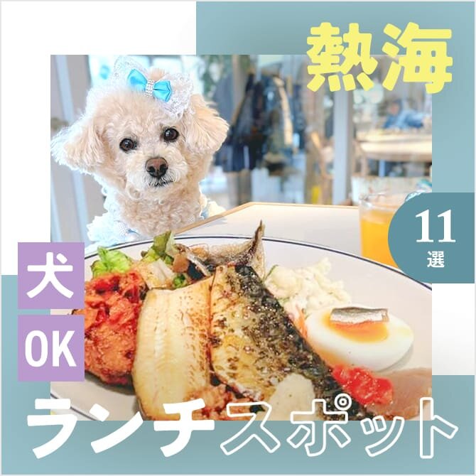 【熱海の犬連れランチ・カフェ11選】ペット可・犬連れOK！海鮮や人気ランチが楽しめるカフェ