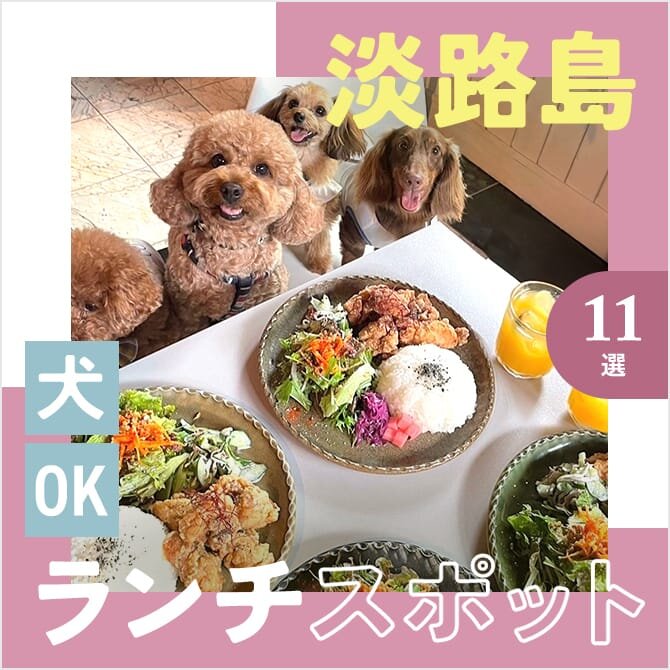 【淡路島の犬連れランチ・カフェ11選】ペット可・犬連れOK！名物グルメや人気ランチが楽しめるカフェ