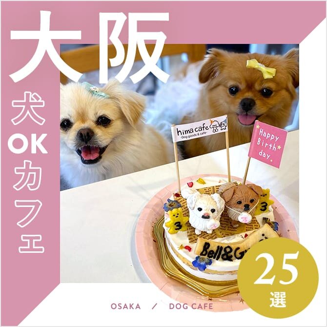 【大阪ドッグカフェ25選】大型犬OKや犬連れランチができるカフェも