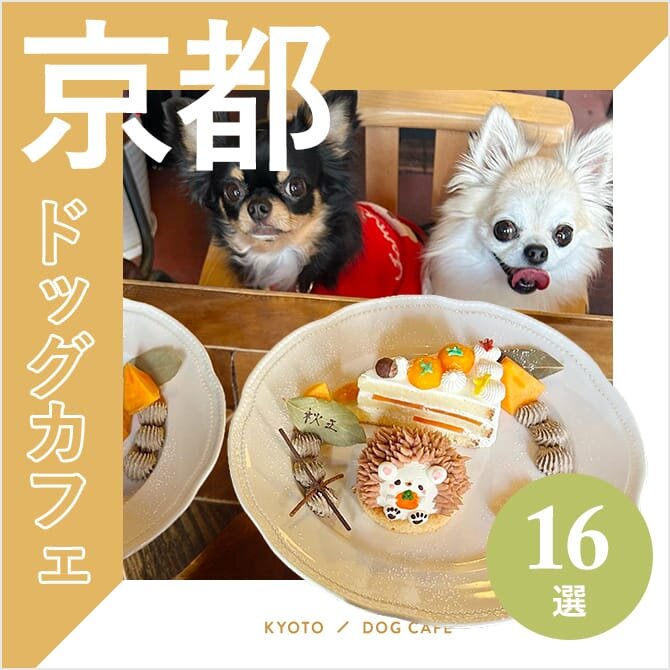 【京都ドッグカフェ16選】大型犬OKや犬連れランチができるカフェも