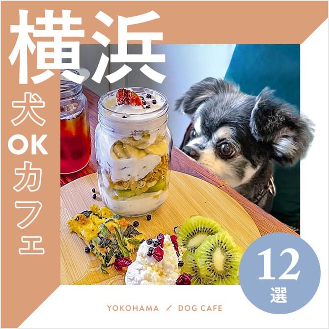 【横浜ドッグカフェ・犬と行けるカフェ12選】大型犬OKやランチのあるカフェも