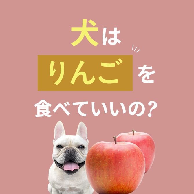 犬はりんごを食べても大丈夫？正しい与え方や量は？