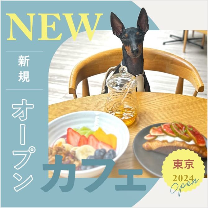 【2024年新規オープンドッグカフェ】愛犬と行ける話題の最新カフェ