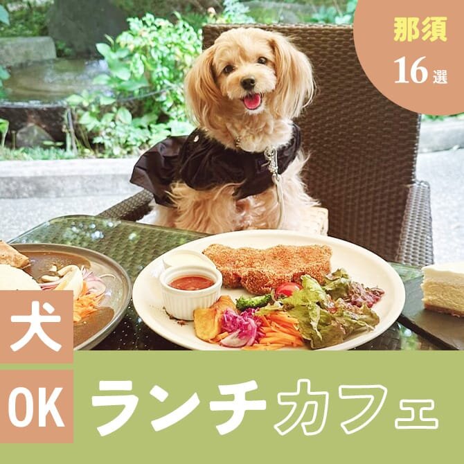 【那須】犬連れでランチができるカフェ16選！ペット可・店内犬同伴OKカフェまとめ