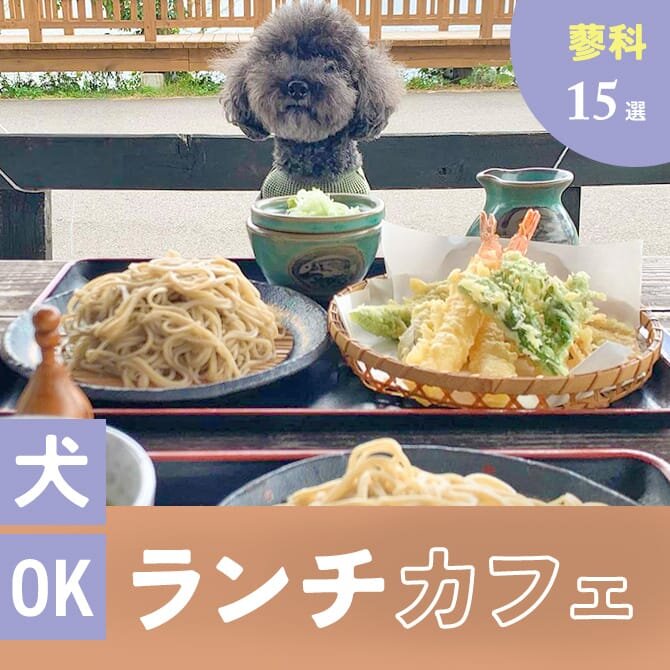 【蓼科】犬連れでランチできるカフェ15選！蕎麦屋などペット可・店内犬同伴OKのお店まとめ