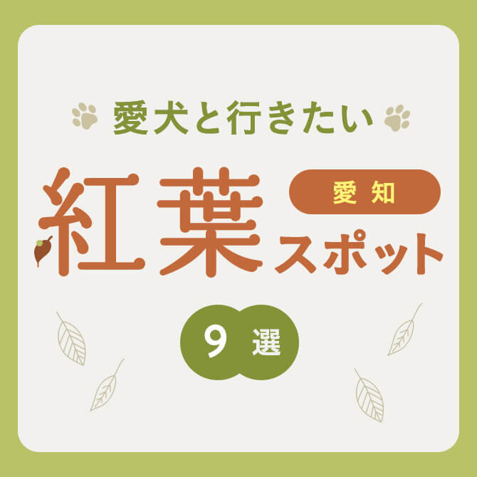 【愛知の紅葉スポット10選】愛犬と行けるおすすめの紅葉スポット