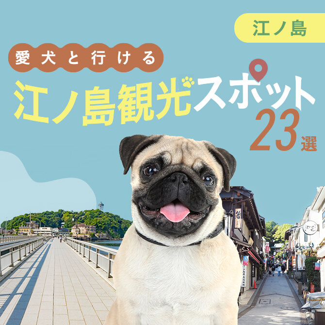 【江ノ島】犬連れおでかけスポット23選！ペット同伴可ランチ・観光スポット特集