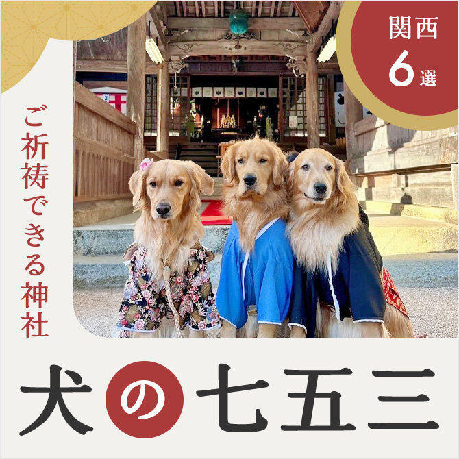 【犬の七五三】犬の七五三はいつ？祈祷できる関西の神社を紹介！