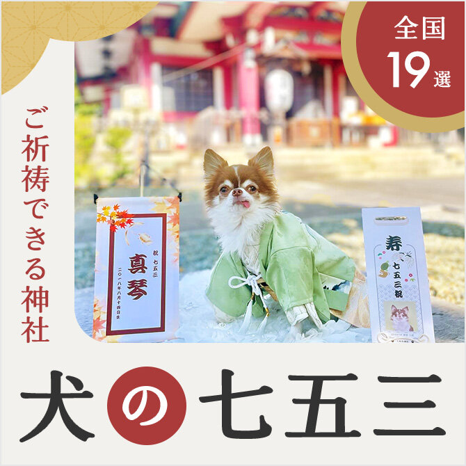 【犬の七五三】犬の七五三はいつ？祈祷できる全国の神社を紹介！