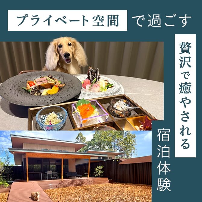 【Dear Wan Spa Garden】リソルの森にある客室温泉とプライベートドッグラン付きお宿