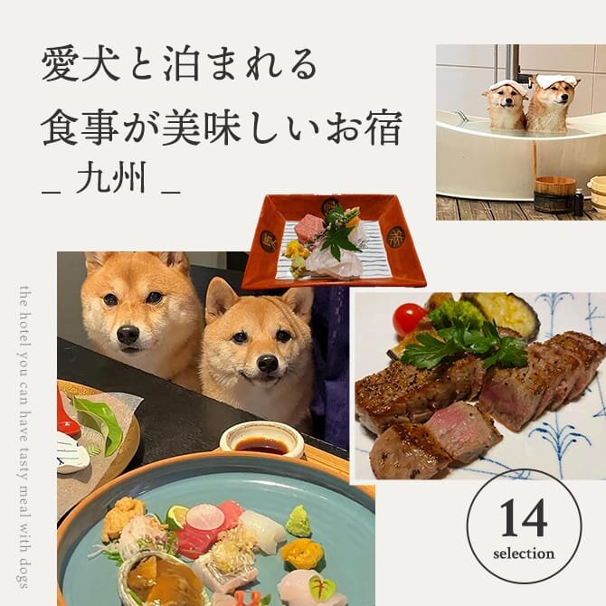 九州のペットと泊まれる食事が美味しい宿｜犬と泊まれる料理自慢の宿一覧