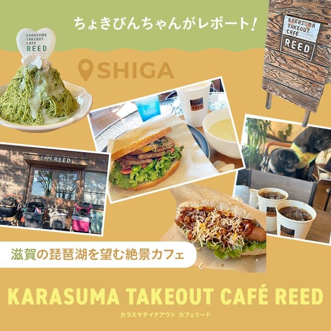 【KARASUMA TAKEOUT  CAFÉ REED】滋賀ドッグカフェおでかけレポート