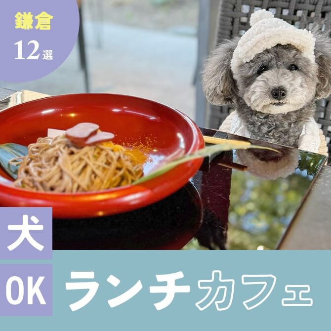 【鎌倉ランチカフェ12選】犬連れOKのカフェ・レストランまとめ