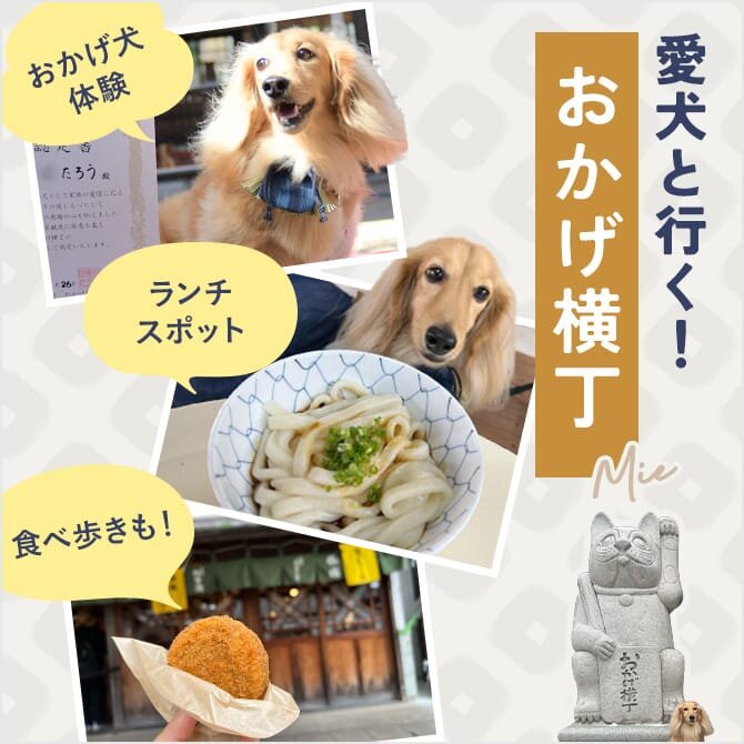 愛犬と行くおかげ横丁｜おかげ犬体験とランチスポット