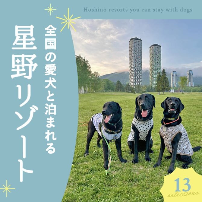 【全国】愛犬と泊まれる星野リゾートまとめ