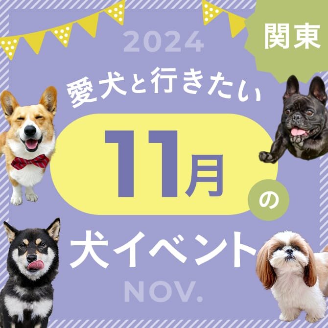 【2024年11月】関東で愛犬と行きたいドッグイベント23選