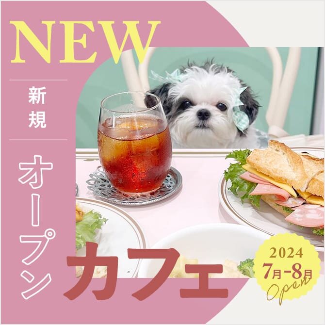 【2024年7月・8月新規オープンカフェ】愛犬と行ける話題の最新カフェ