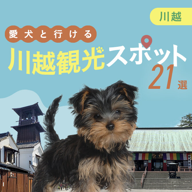 【川越】犬連れおでかけスポット21選！ペット同伴可ランチ・観光スポット特集