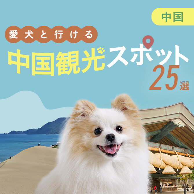 【中国】犬連れおでかけスポット25選！ペット同伴可ランチ・観光地特集