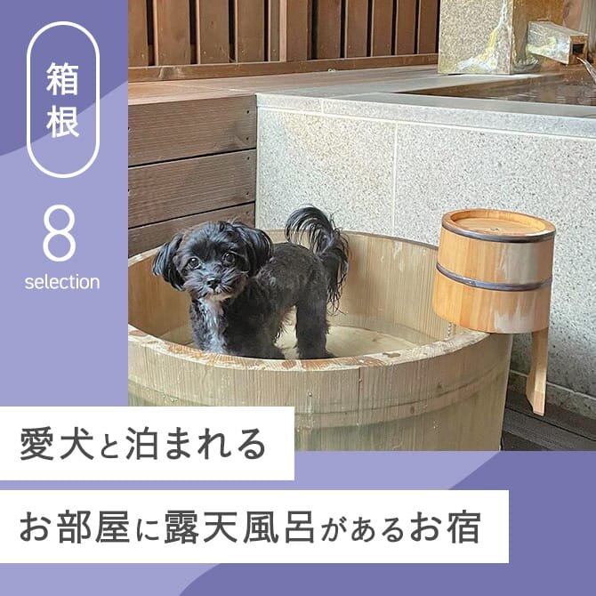 【箱根】露天風呂付き客室のある犬と泊まれる宿｜高級温泉宿一覧