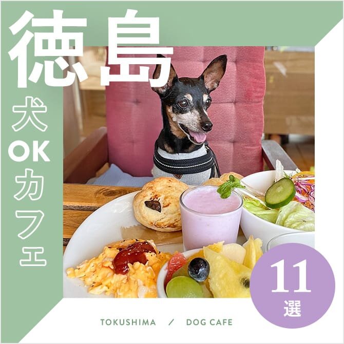 【徳島ドッグカフェ11選】犬連れランチができるお店も特集！