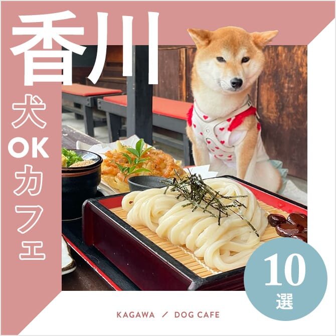 【香川ドッグカフェ10選】犬連れランチができるお店も特集！