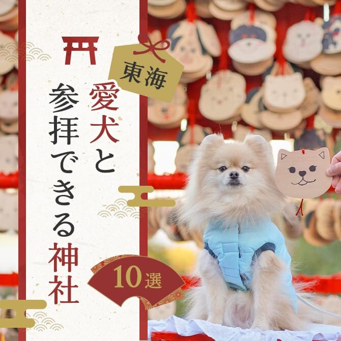 【愛犬と初詣】東海の犬同伴で参拝可能な神社とお寺