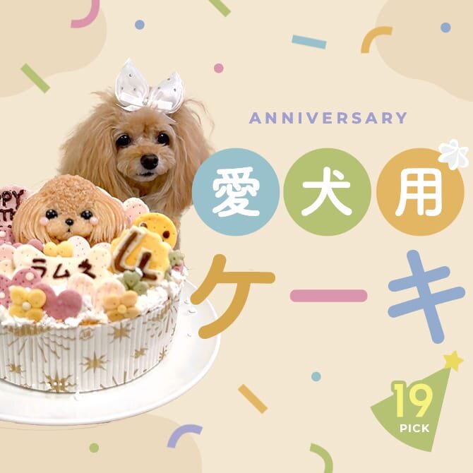 【犬用ケーキ19選】誕生日や記念日にぴったりな犬用ケーキ