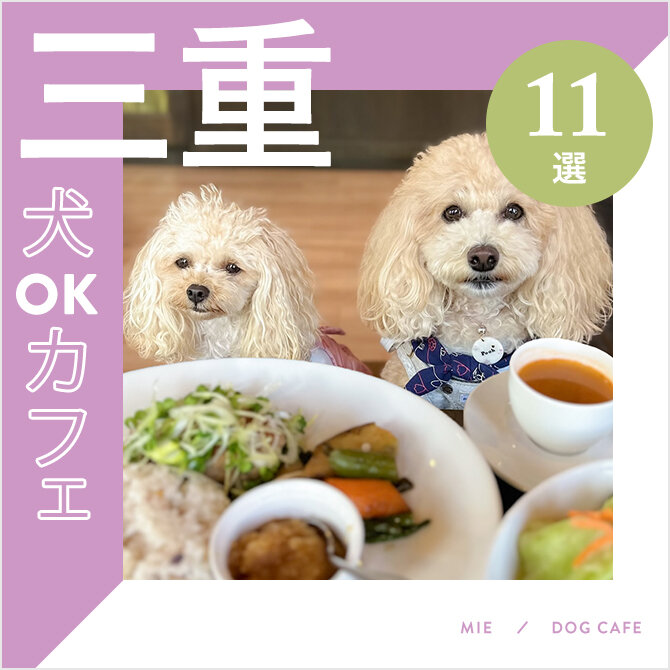 【三重ドッグカフェ11選】犬連れランチができるお店も特集！